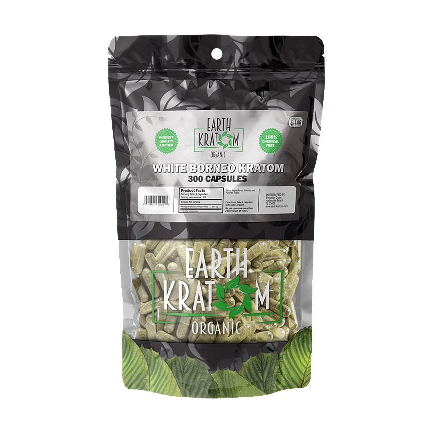 قرطوم الأرض الأبيض بورنيو قرطوم