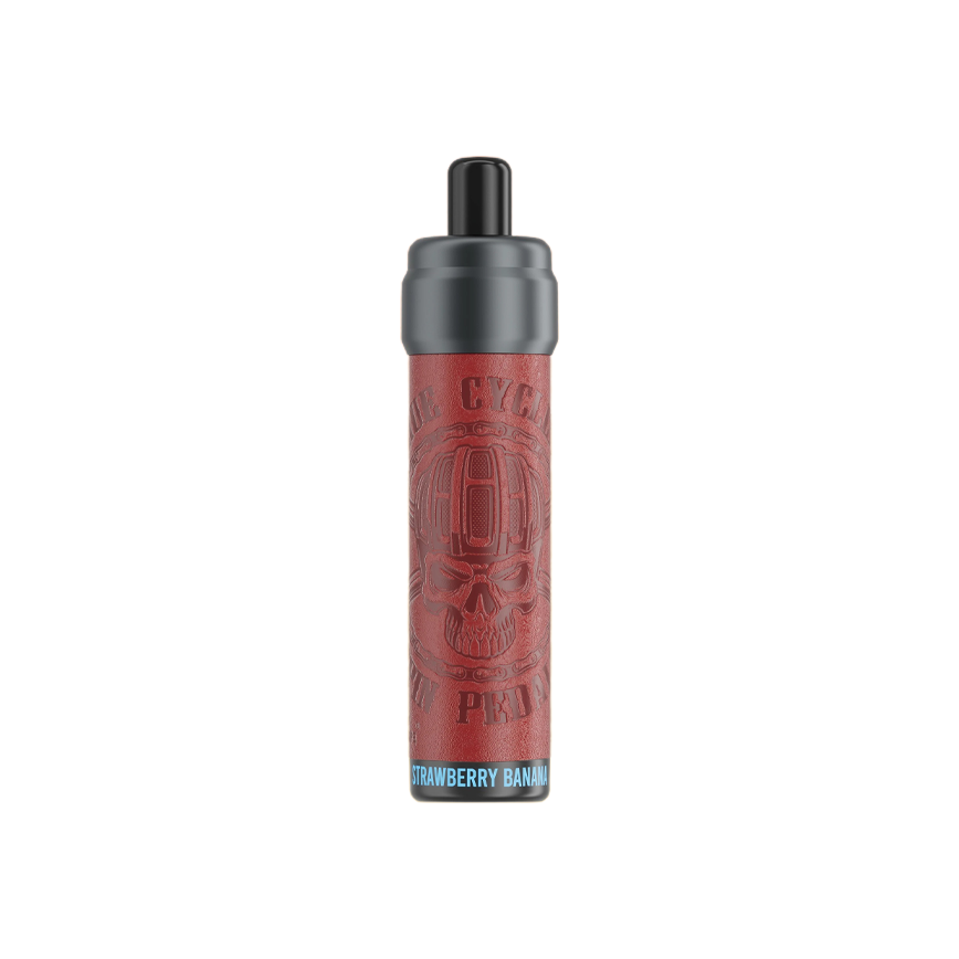 Kang Vape Disposable Strawnana 2500Puff 5% 10CT