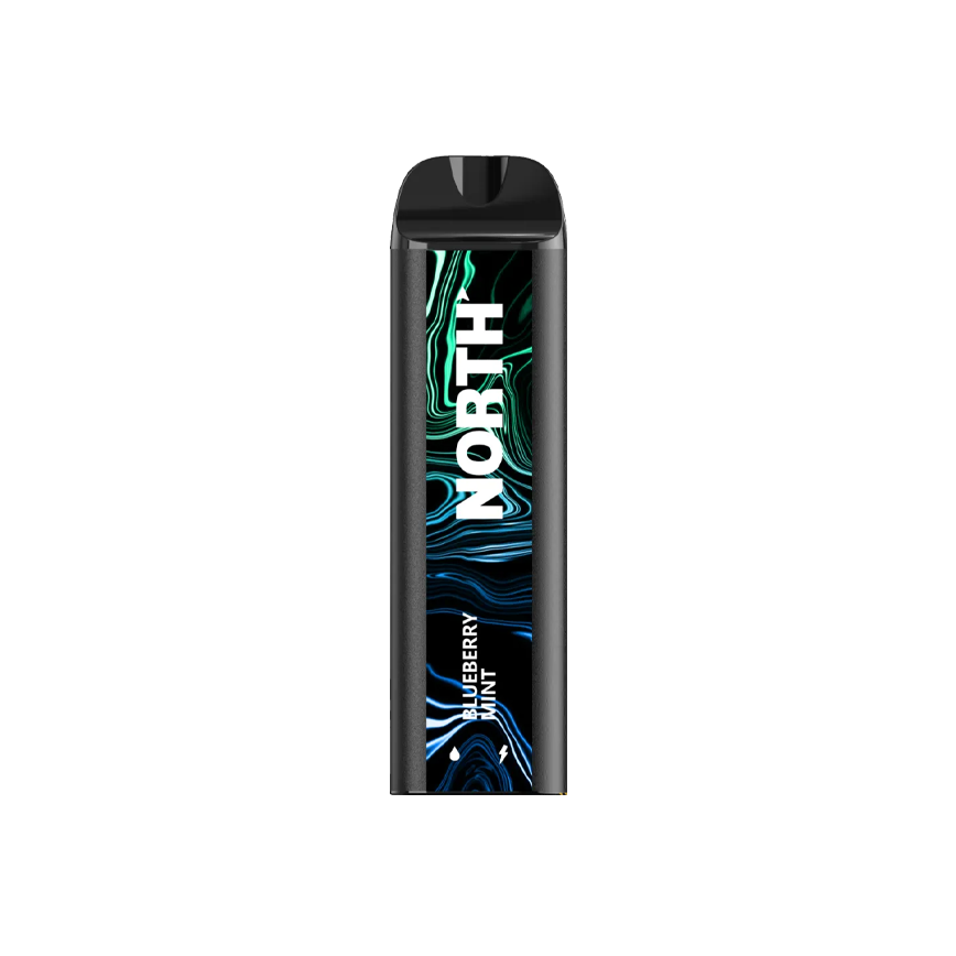 North Disposable Blueberry Mint 5000Puff 5% 10Ct