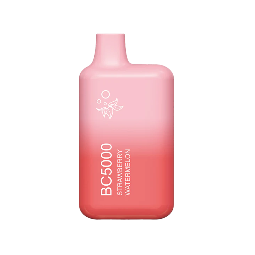 Ebcreate Strawberry Watermelon Bc5000Puff 5% 10Ct